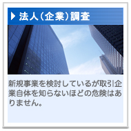 法人（企業）調査